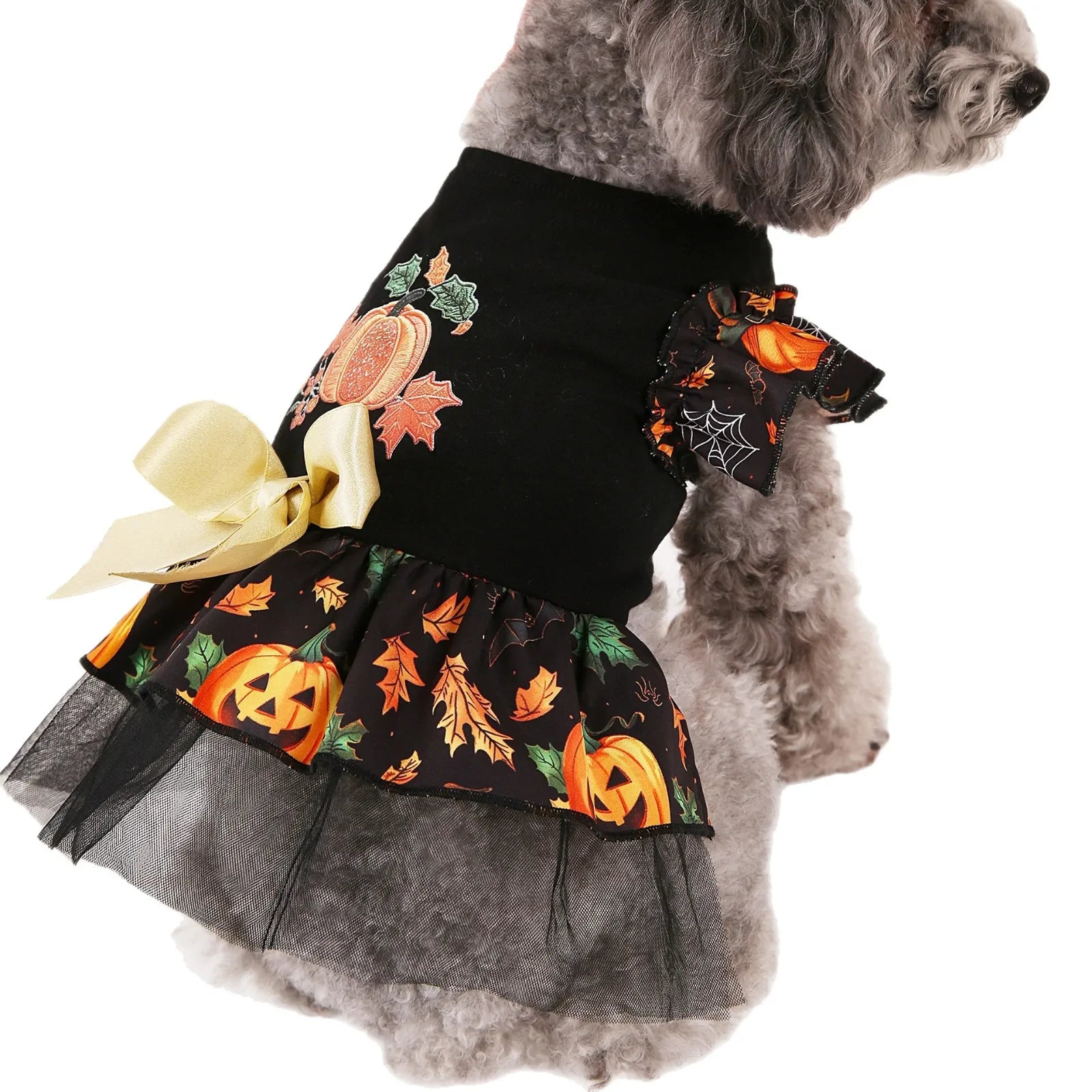 Halloween dog costumes featuring a black dress with pumpkin and spider designs, perfect for festive celebrations