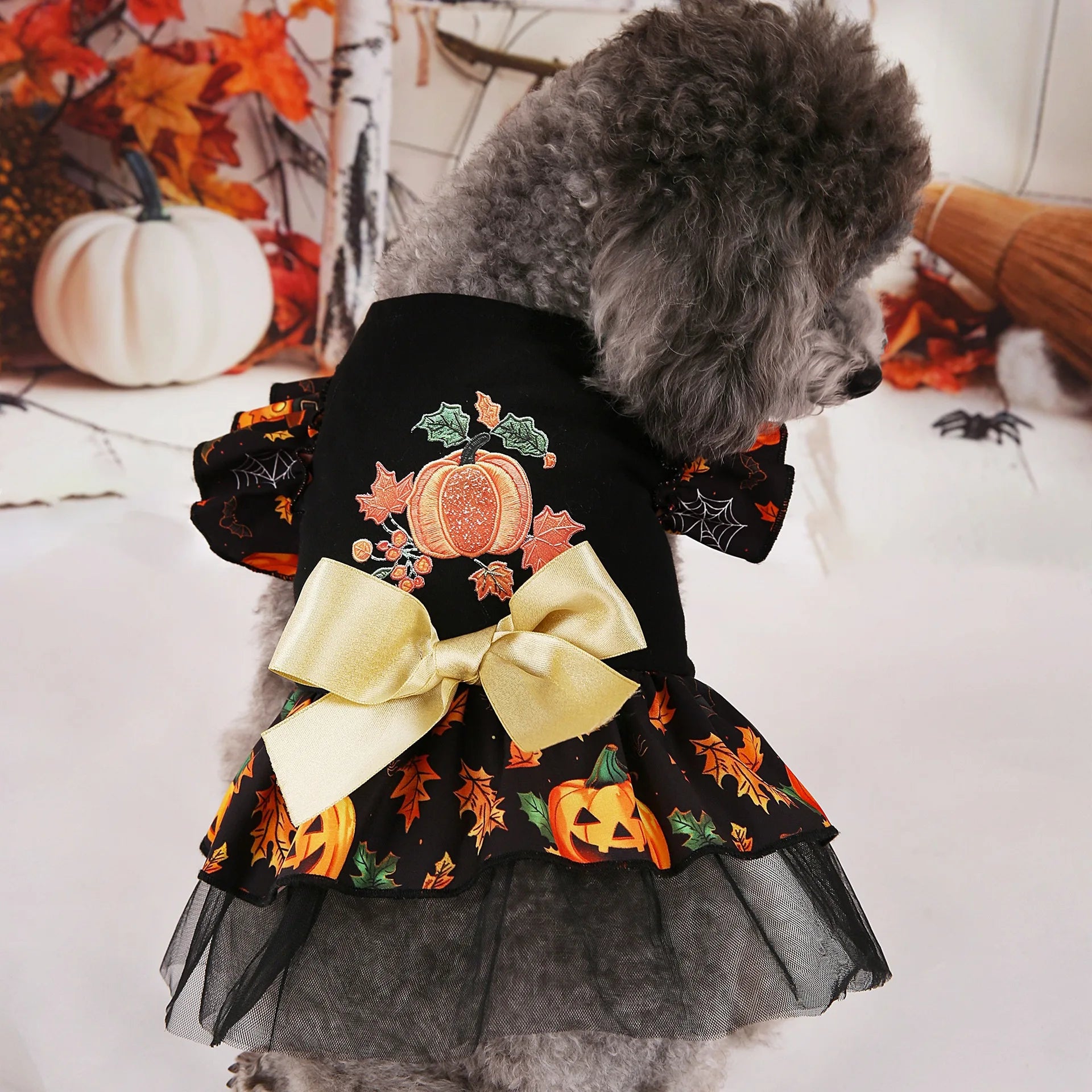 Adorable Halloween dog costumes featuring a pumpkin design and decorative bow for festive celebrations