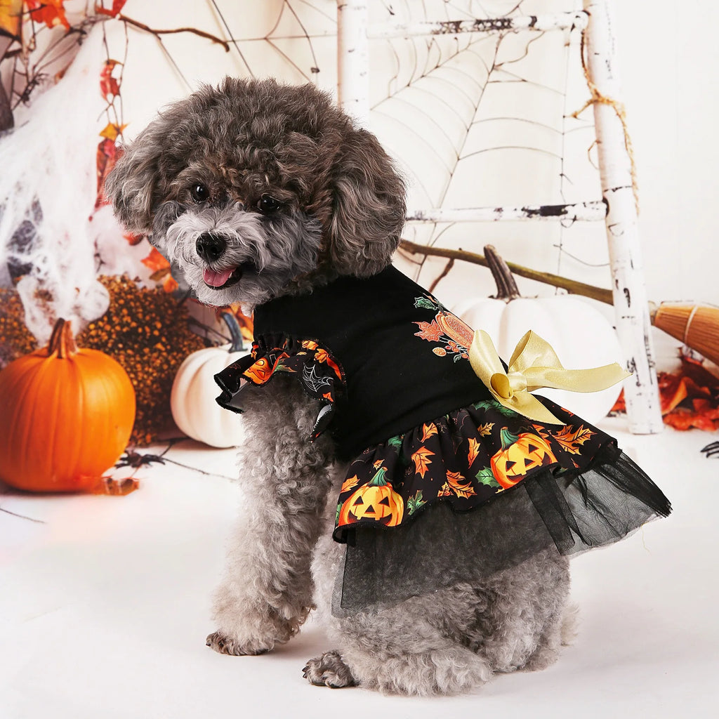 Adorable dog in a Halloween dog costume with pumpkin and leaf designs for festive celebrations