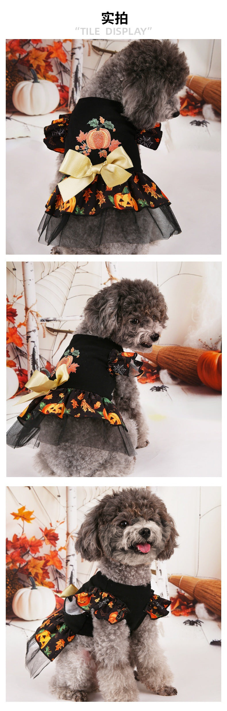 Adorable black Halloween dog costumes with floral design and bow for festive pets