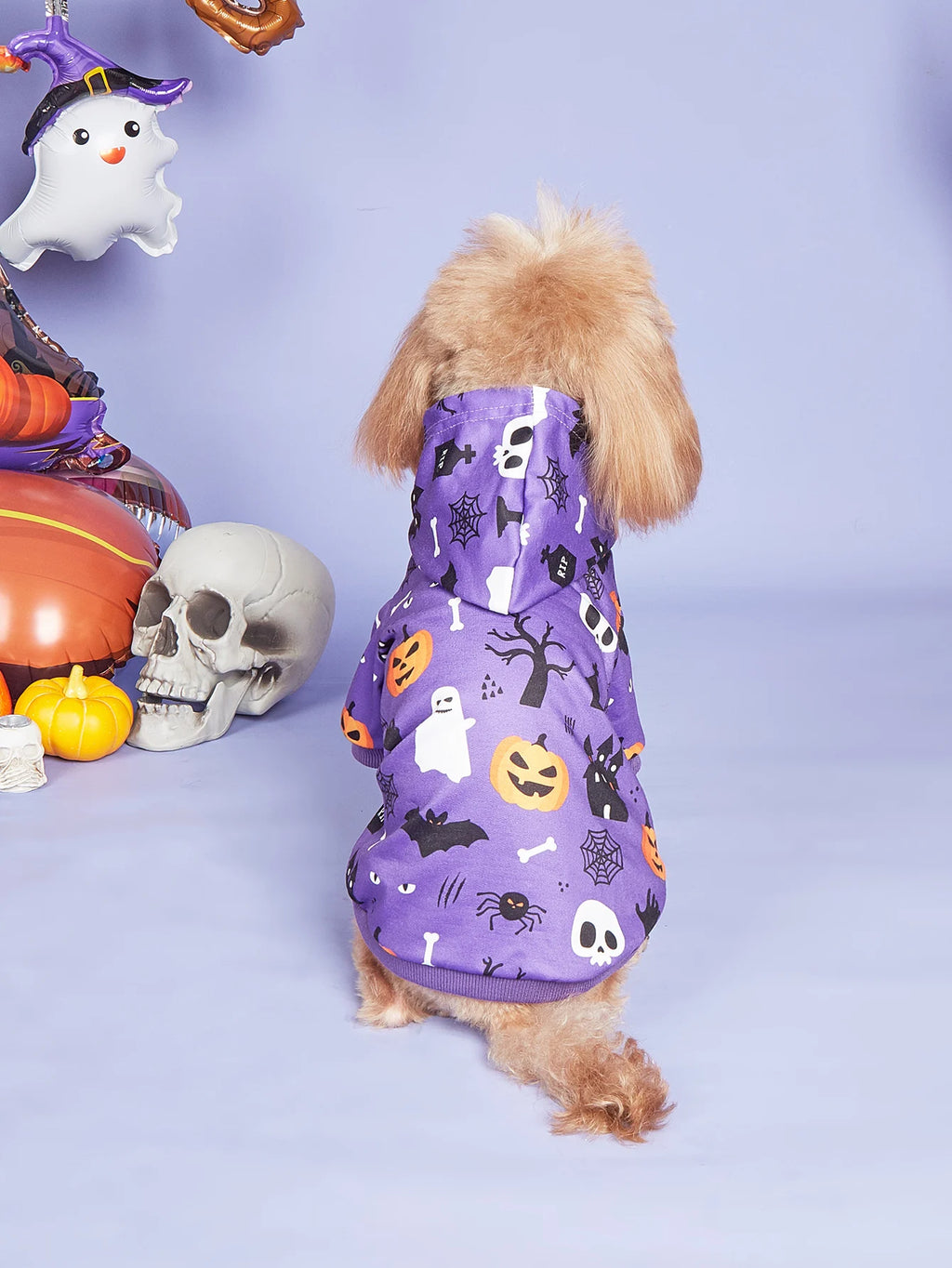 Small dog in a purple Halloween costume featuring spooky patterns for Halloween dog costumes for small dogs
