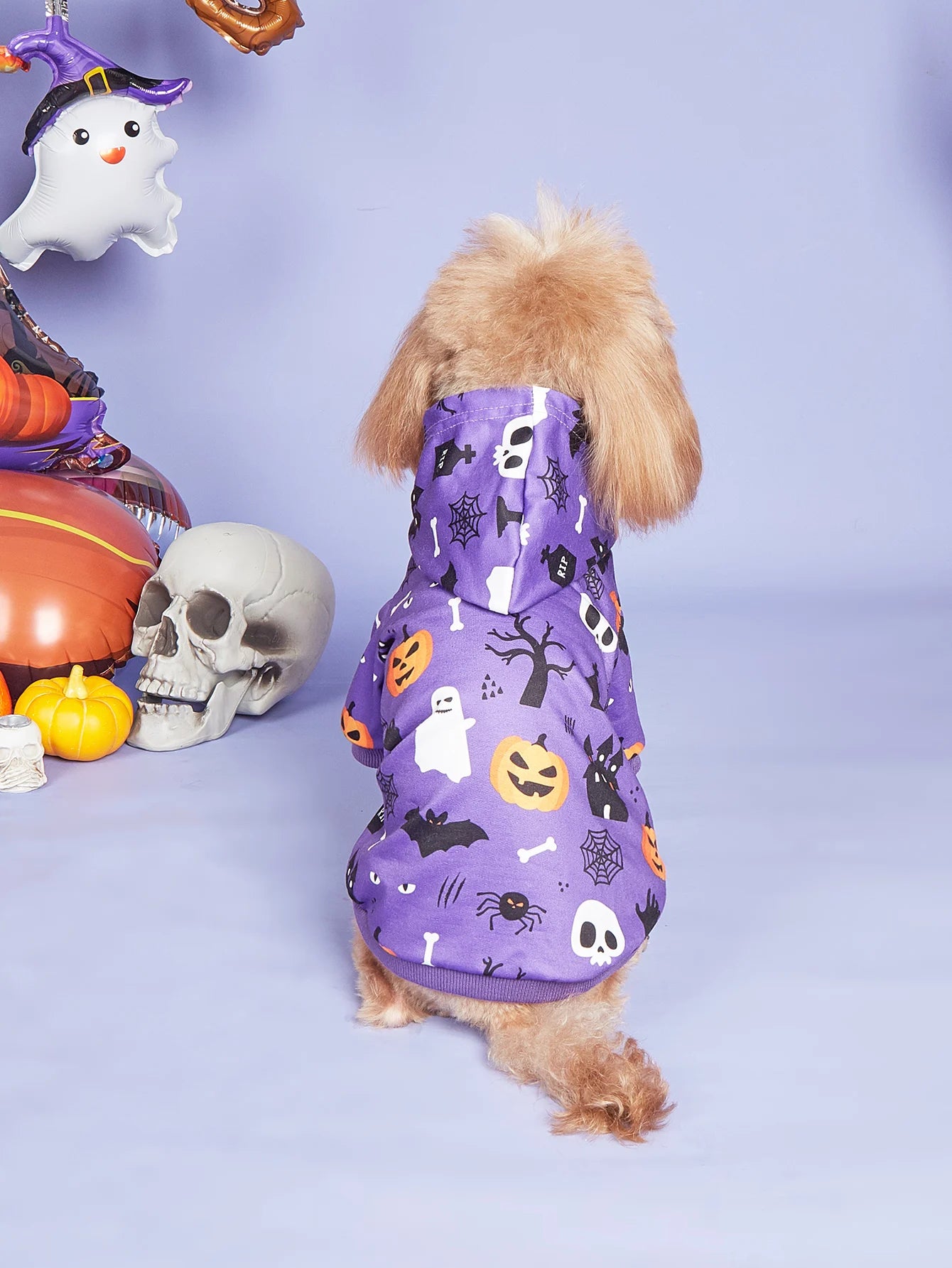 Small dog in a purple Halloween costume featuring spooky patterns for Halloween dog costumes for small dogs