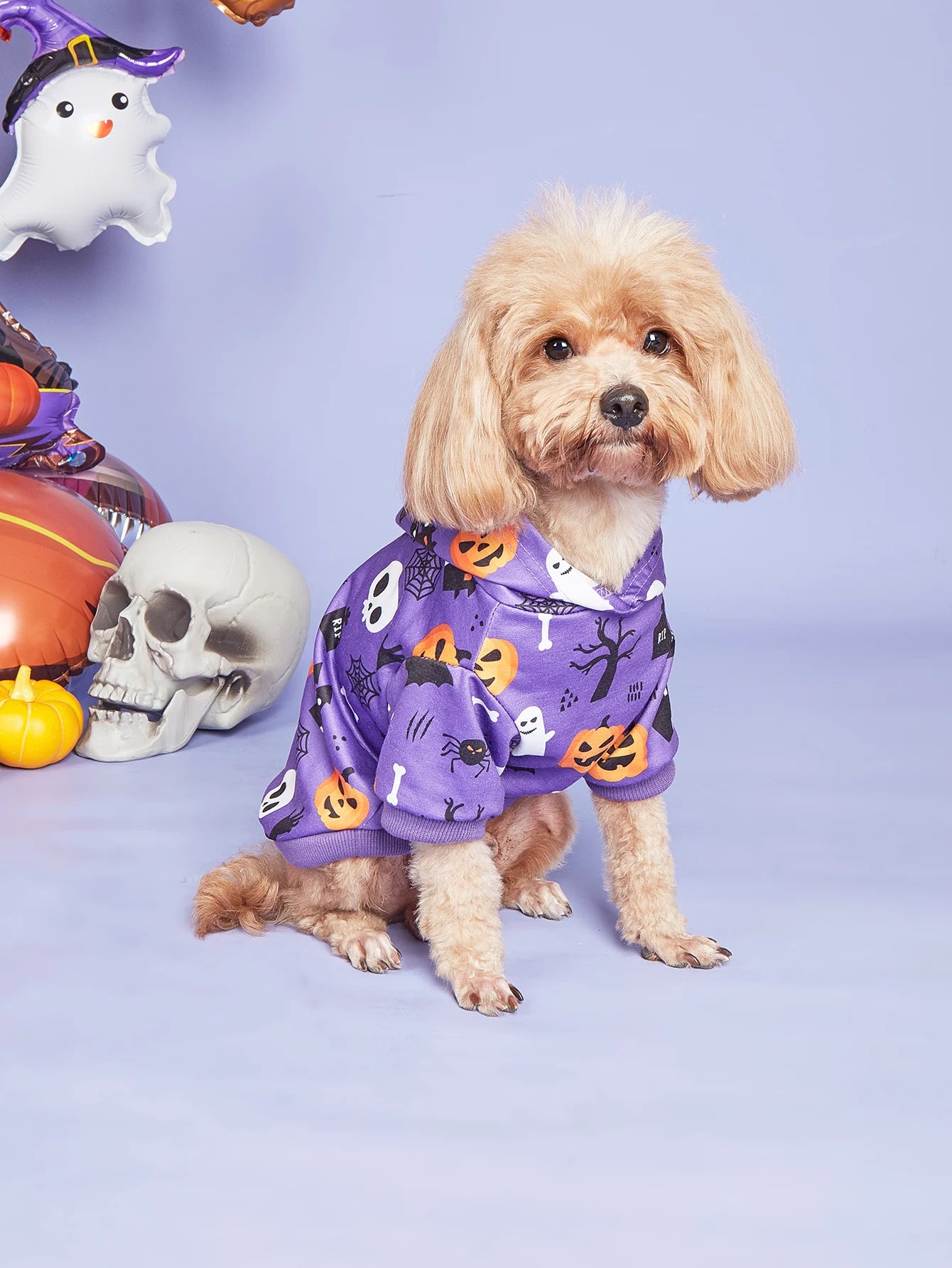 Small dog wearing a purple Halloween dog costume with pumpkins and ghosts for Halloween celebrations