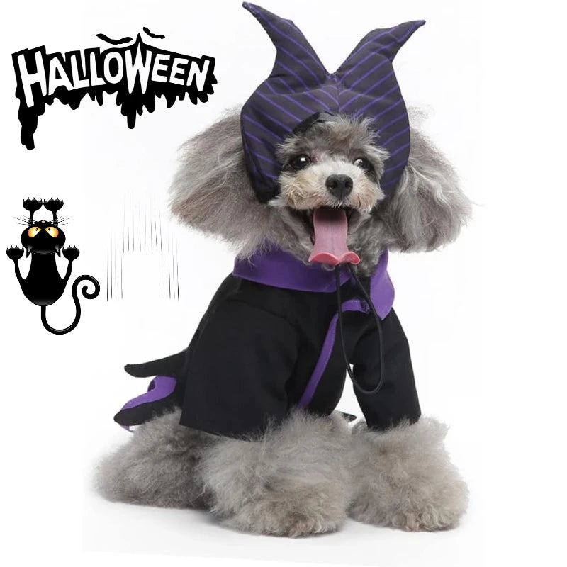 Halloween dog witch costume featuring a cute dog in a black and purple outfit with a witch hat