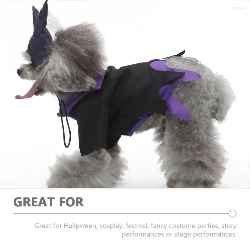 Halloween dog witch costume with black and purple design, perfect for festive celebrations and performances