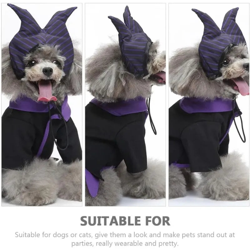 Halloween dog witch costume with purple and black design, perfect for stylish pets at parties