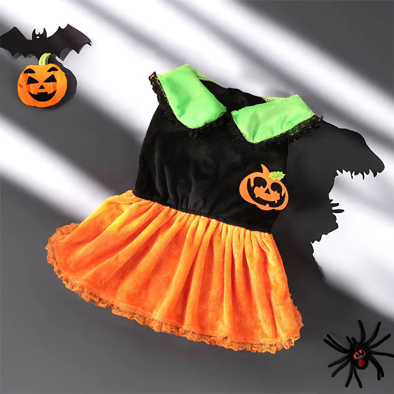 Cute Halloween party clothing for dogs featuring a pumpkin dress with green collar and lace trim