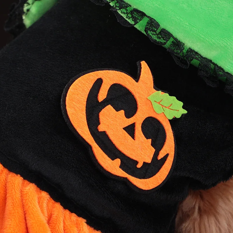 Halloween party clothing for dogs featuring a cute pumpkin design with bright orange and green colors