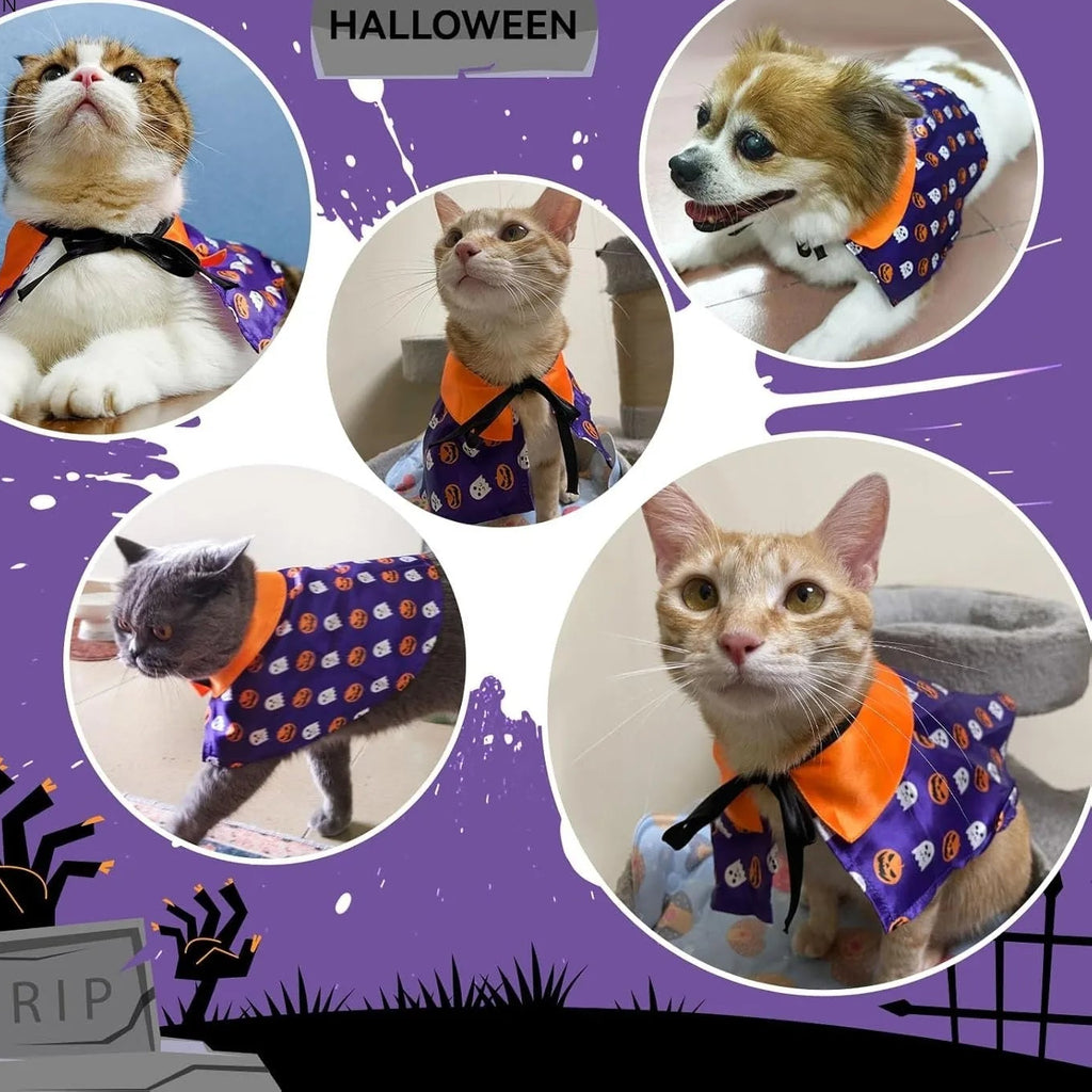 Zoomies & Co Halloween pet costume for cats and dogs in purple with pumpkin prints and orange collar