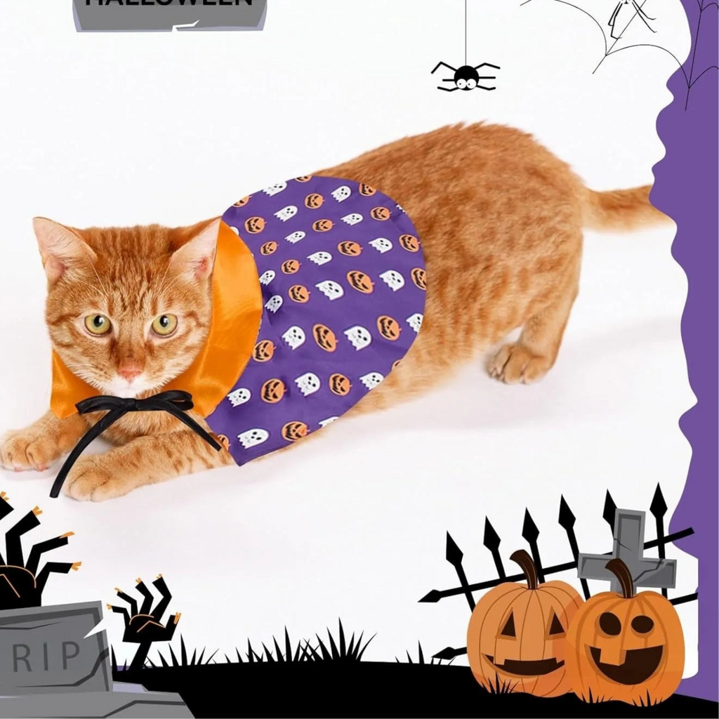 Halloween pet costume for cats and dogs featuring a playful orange and purple collar with spooky designs