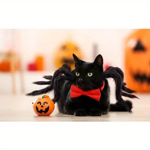 Black cat wearing a Halloween spider costume for pets with faux spider legs and a red bow tie