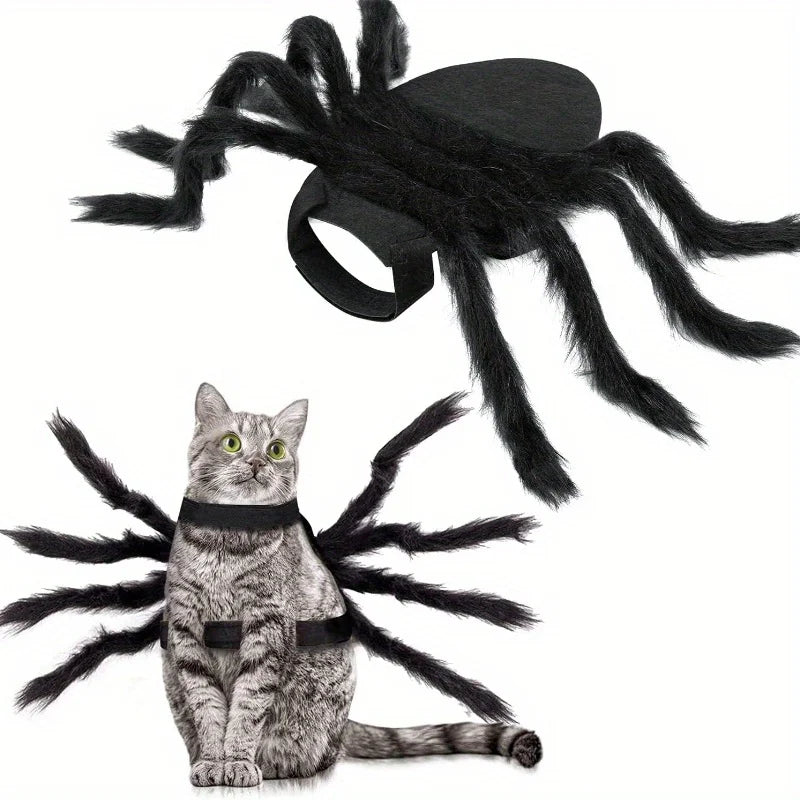 Cute cat wearing a Halloween spider costume for pets with plush spider legs for festive fun