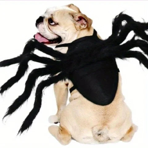 Pet wearing a Halloween spider costume for pets with black furry legs and a comfortable body harness