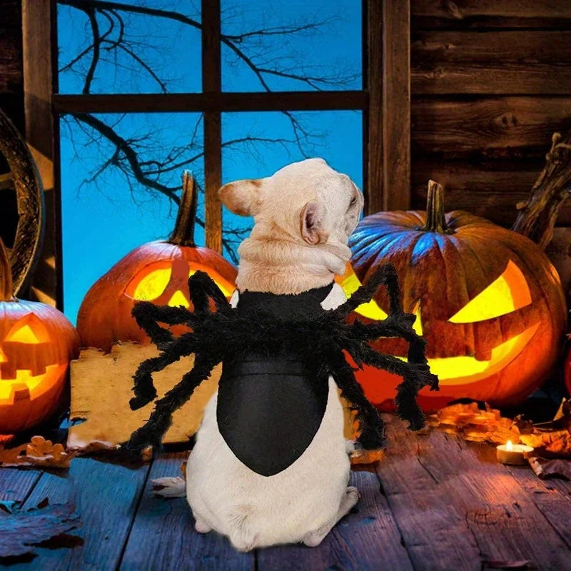 Adorable dog wearing a Halloween spider costume for pets with black spider legs against a spooky backdrop