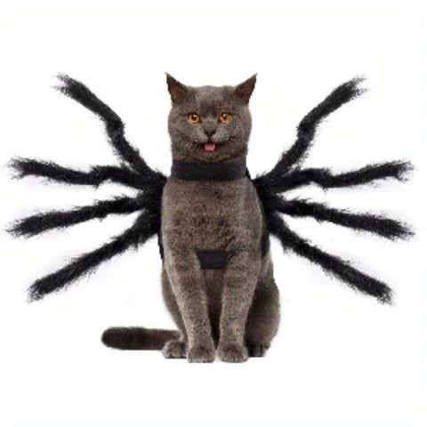 Adorable gray cat wearing a Halloween spider costume for pets with fluffy black spider legs