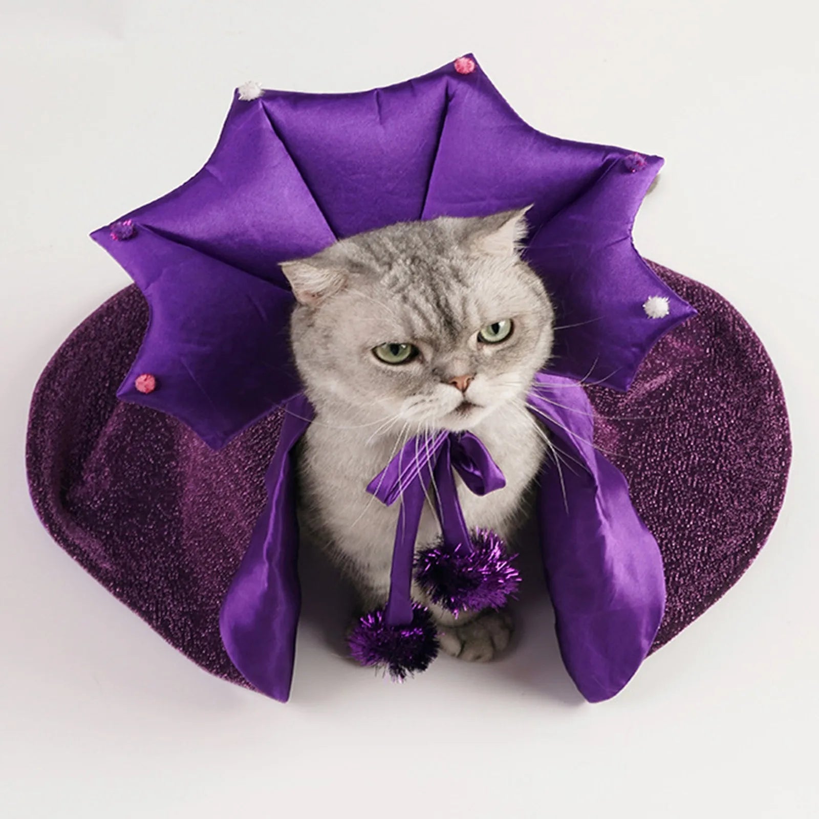 Purple Halloween witch costume for pets with a hood and playful pom-poms for cats