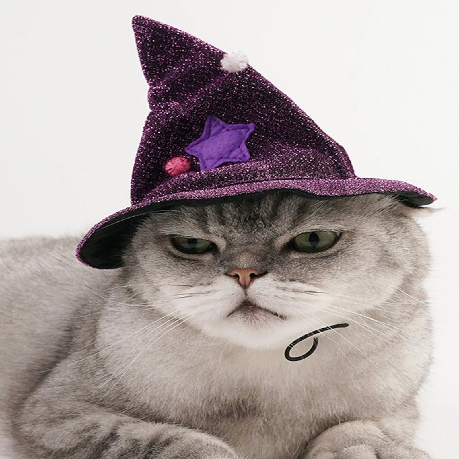 Purple Halloween witch costume for pets featuring a glittery hat with star accents