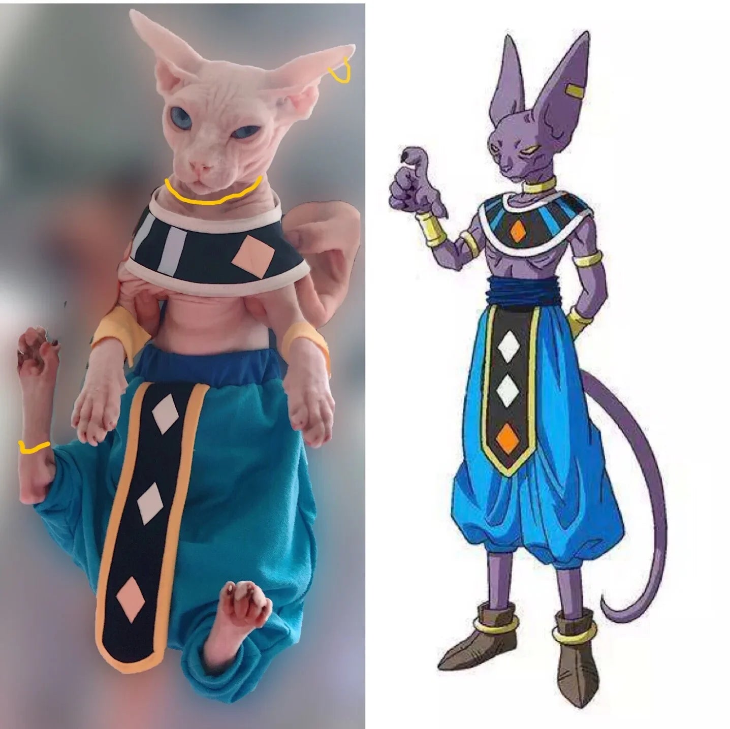 Handmade sphynx cat clothes inspired by a popular cartoon character with vibrant colors and stylish design