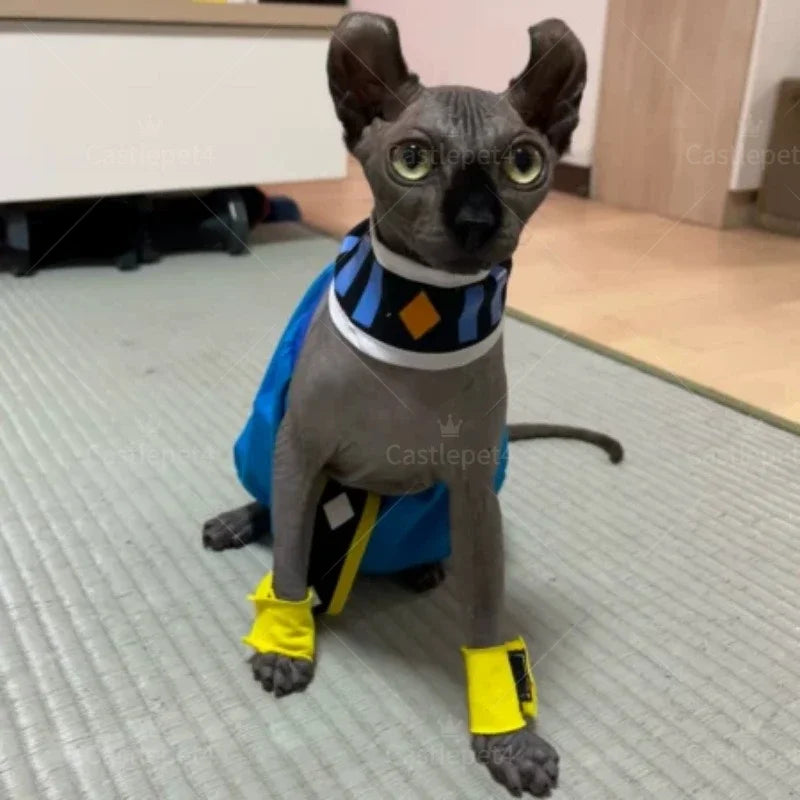 Handmade sphynx cat clothes featuring a colorful cape and matching accessories for stylish pets