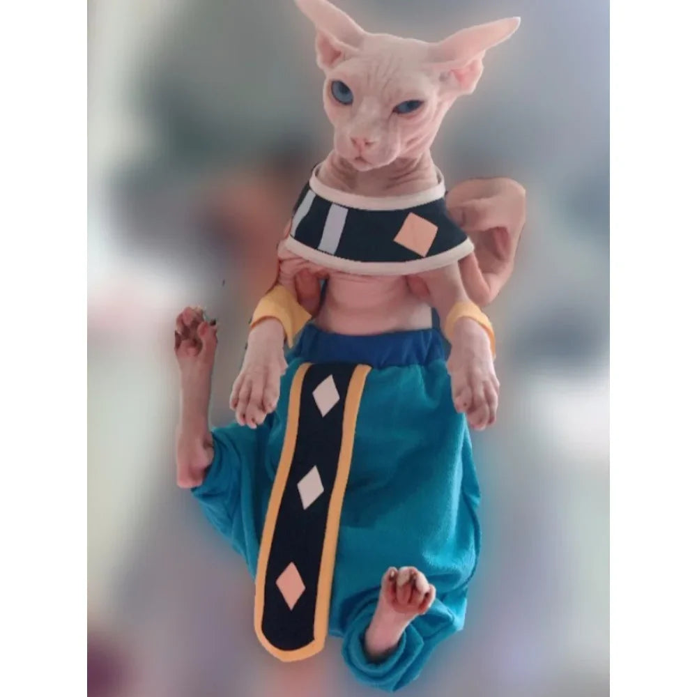 Handmade sphynx cat clothes featuring vibrant colors and unique design for stylish pets