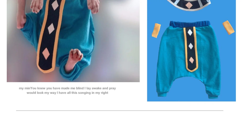Colorful handmade sphynx cat clothes with unique design for stylish feline outfits