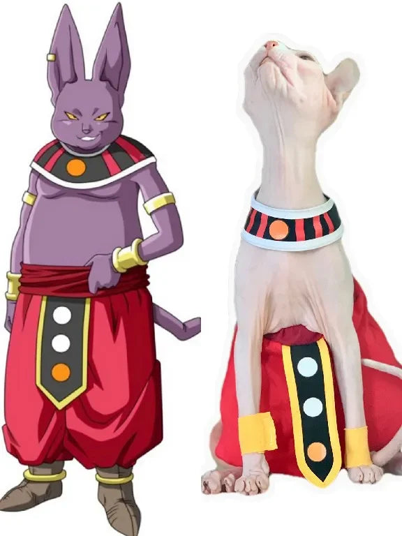 Handmade sphynx cat clothes featuring colorful costume inspired by animated character design
