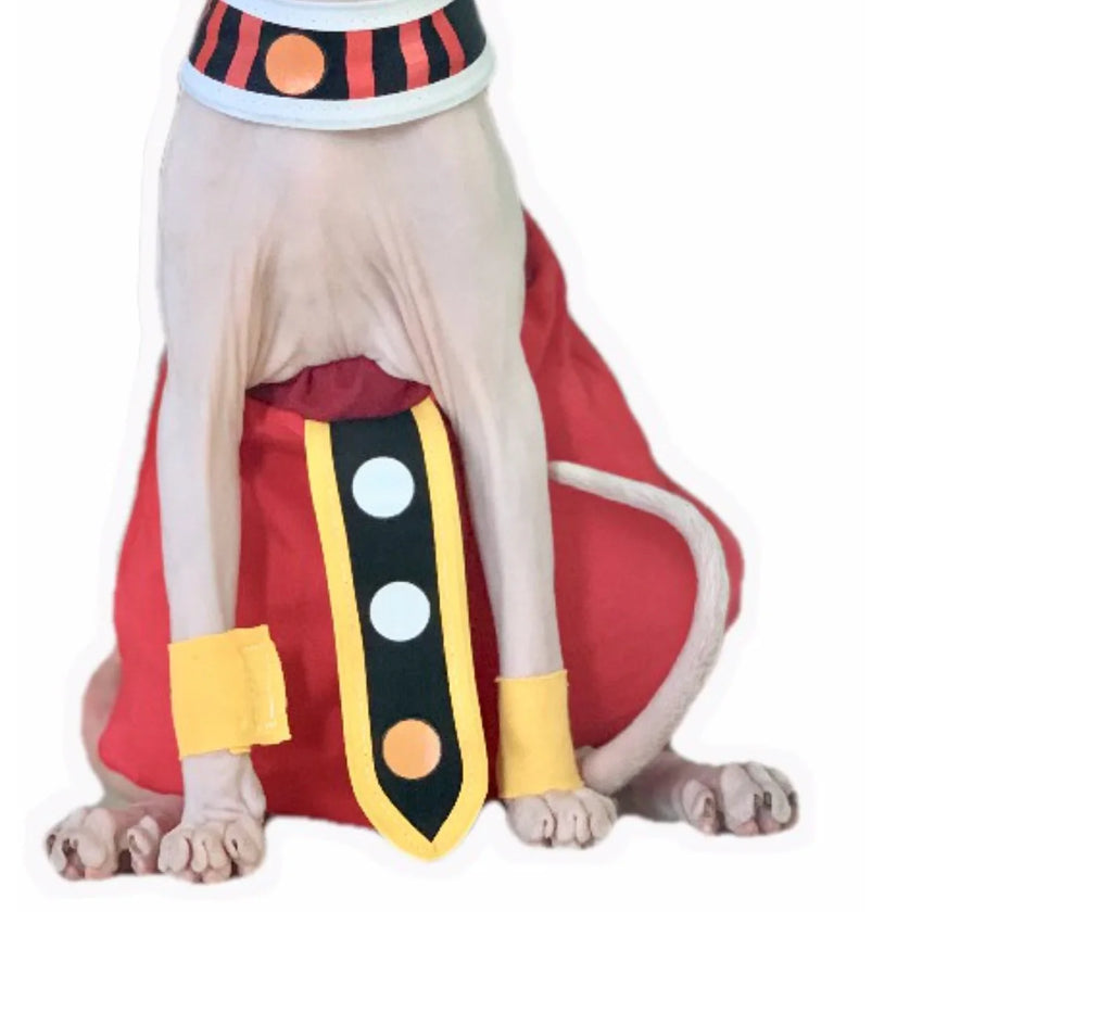 Handmade sphynx cat clothes featuring a vibrant red outfit with yellow and black accents