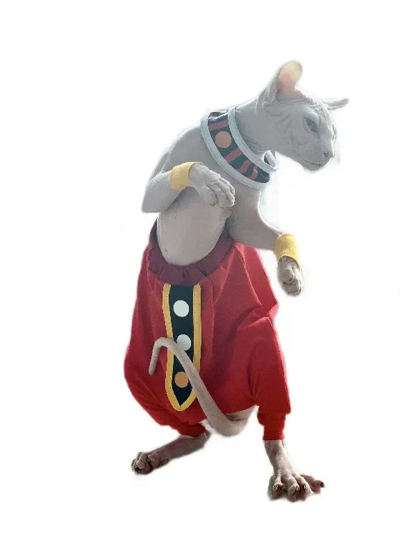 Handmade sphynx cat clothes in vibrant red with decorative collar for stylish pets