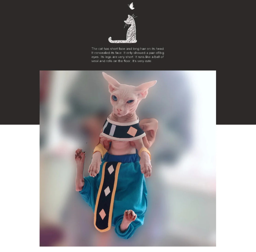 Cute handmade sphynx cat clothes featuring a blue outfit with bold accents for stylish cats