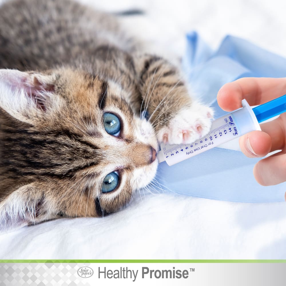 Kitten receiving medication from a syringe, promoting health and care for pets