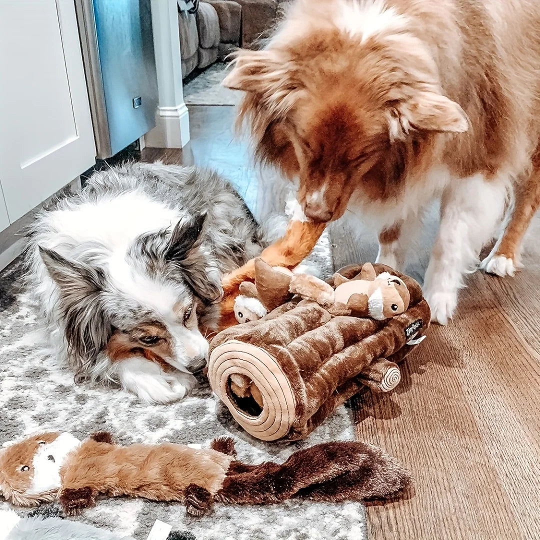 Two dogs playing with the Hide-n-Seek Squirrel Plush Dog Toy and exploring its hidden features