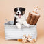 Cute puppy in a basket with Hide-n-Seek Squirrel Plush Dog Toy and plush log for interactive playtime