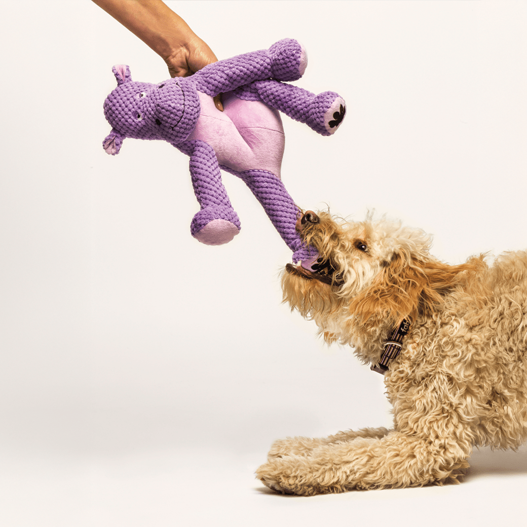 Fabdog Dog Floppy Hippo Small