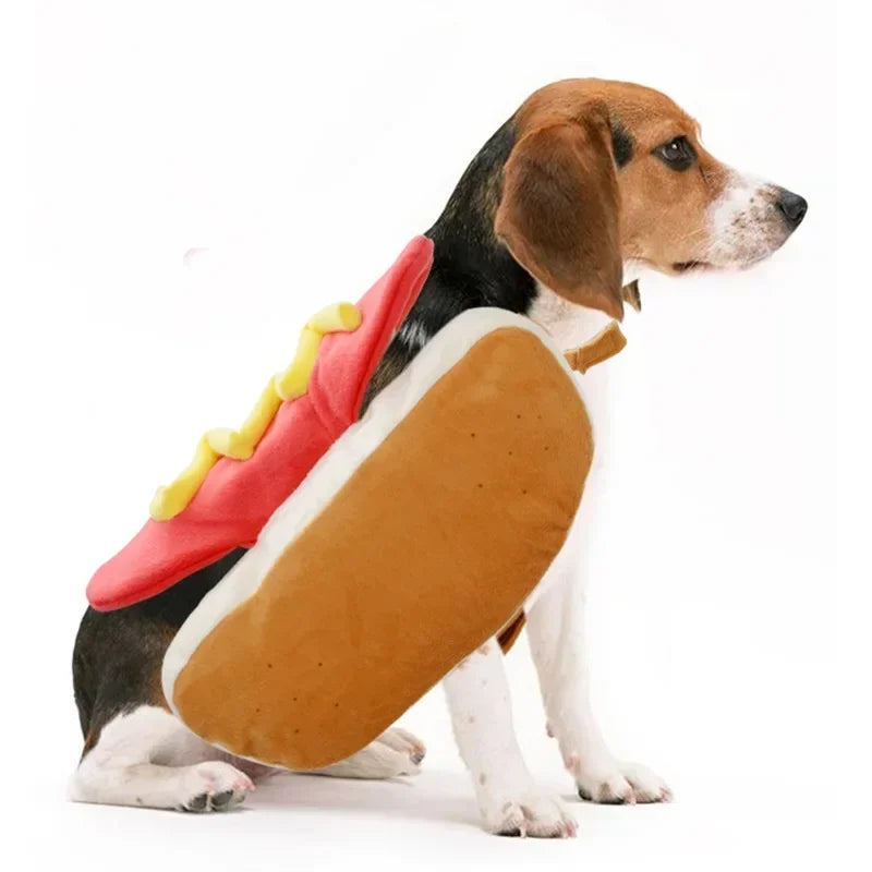 Beagle wearing a hot dog pet costume with mustard and bun details for fun pet parties