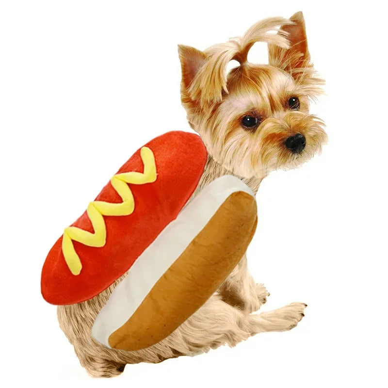 Cute dog in hot dog pet costume with a plush bun and mustard detailing for fun pet dress-up