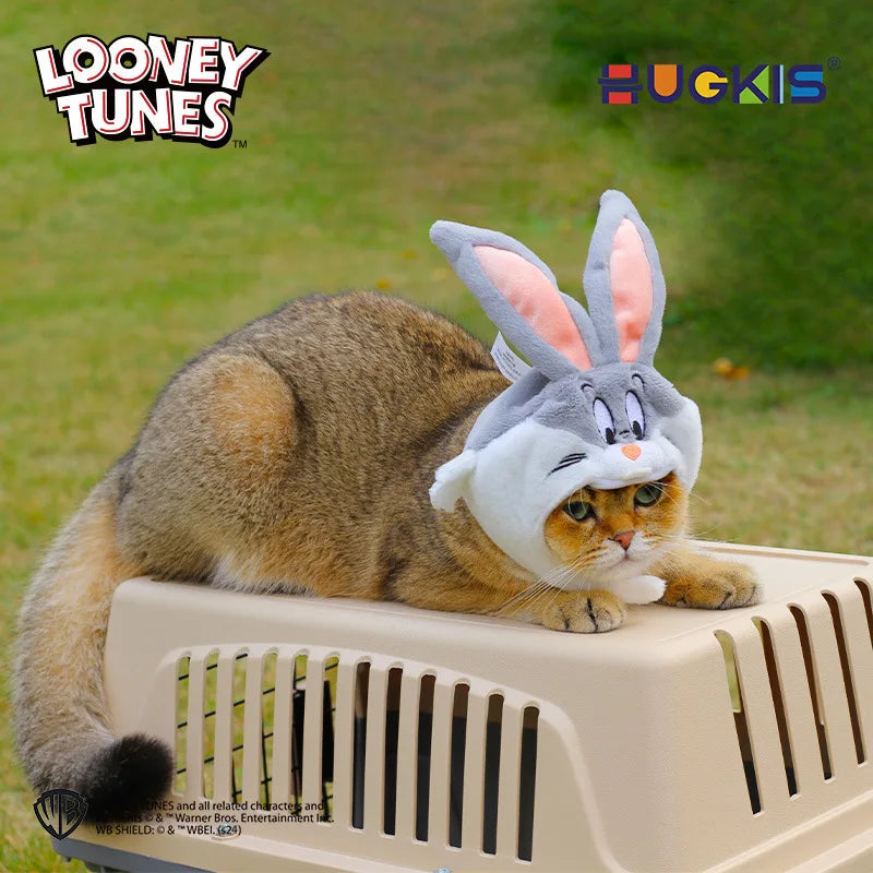 Adorable cat wearing a Looney Tunes cat Halloween costume with a Bugs Bunny hat