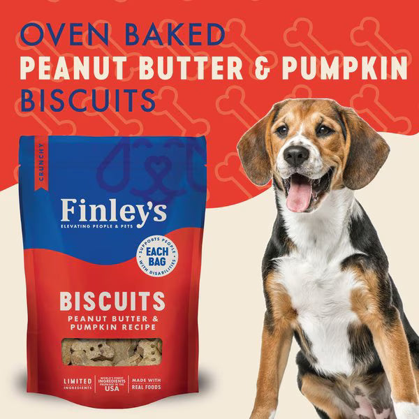 Finley's Wheat-Free Peanut Butter & Pumpkin Crunchy Biscuit Dog Treats, 12-oz bag
