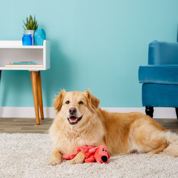 Multipet Loofa Squeaker Mat Soft Plush Dog Toy, Color Varies, 12-in