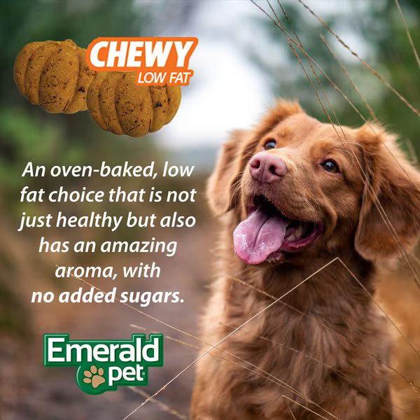 Emerald Pet Pumpkin Harvest Oven Baked with Sweet Potato Chicken-Free Dog Treats, 6-oz bag