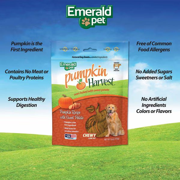 Emerald Pet Pumpkin Harvest Oven Baked with Sweet Potato Chicken-Free Dog Treats, 6-oz bag