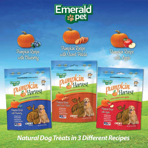 Emerald Pet Pumpkin Harvest Oven Baked with Sweet Potato Chicken-Free Dog Treats, 6-oz bag