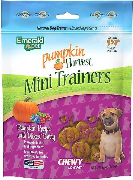 Emerald Pet Pumpkin Harvest Mini Trainers Mixed Berry Soft & Chewy Dog Treats, 6-oz bag