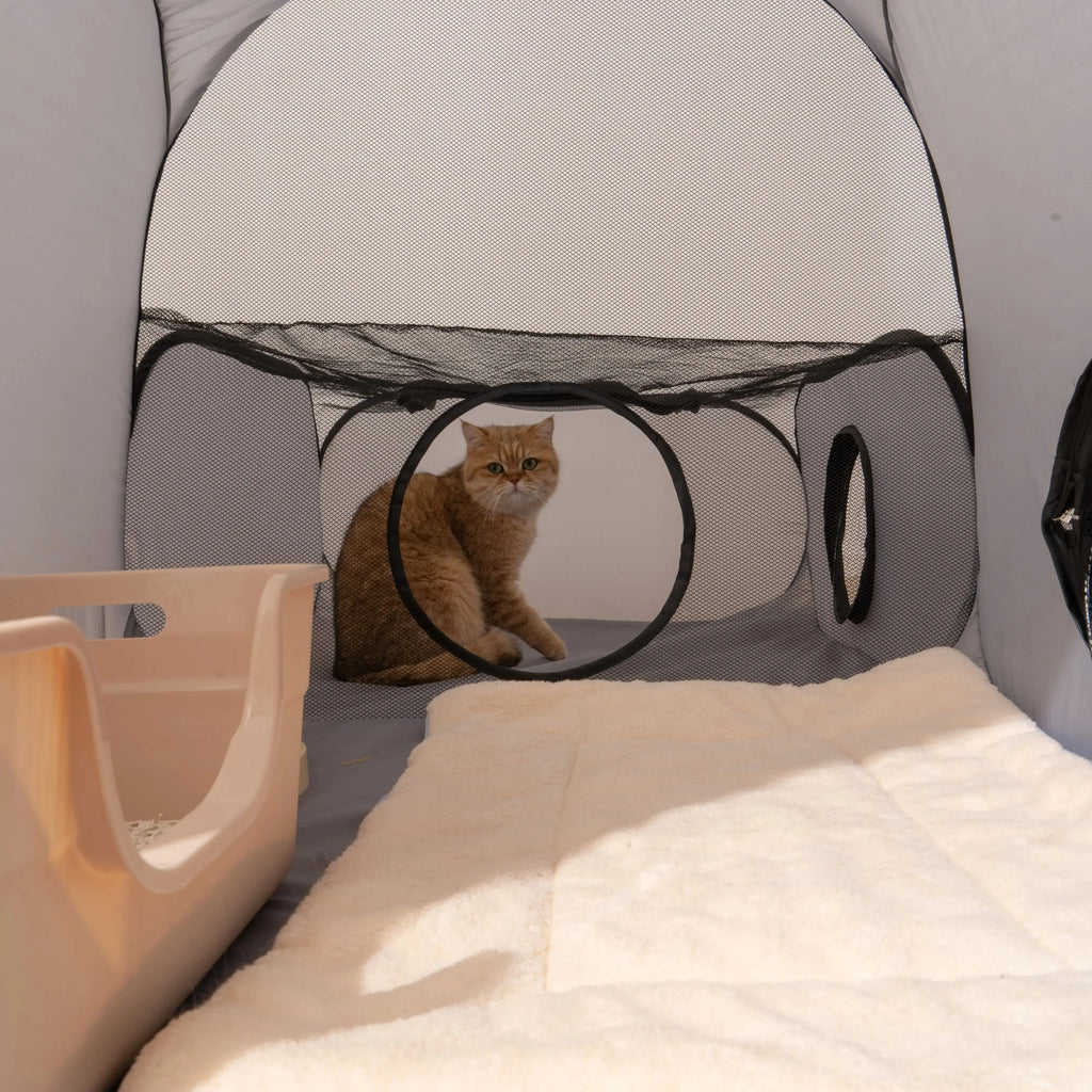 Indoor pet play tunnel with nest featuring a comfortable space for cats to explore and relax