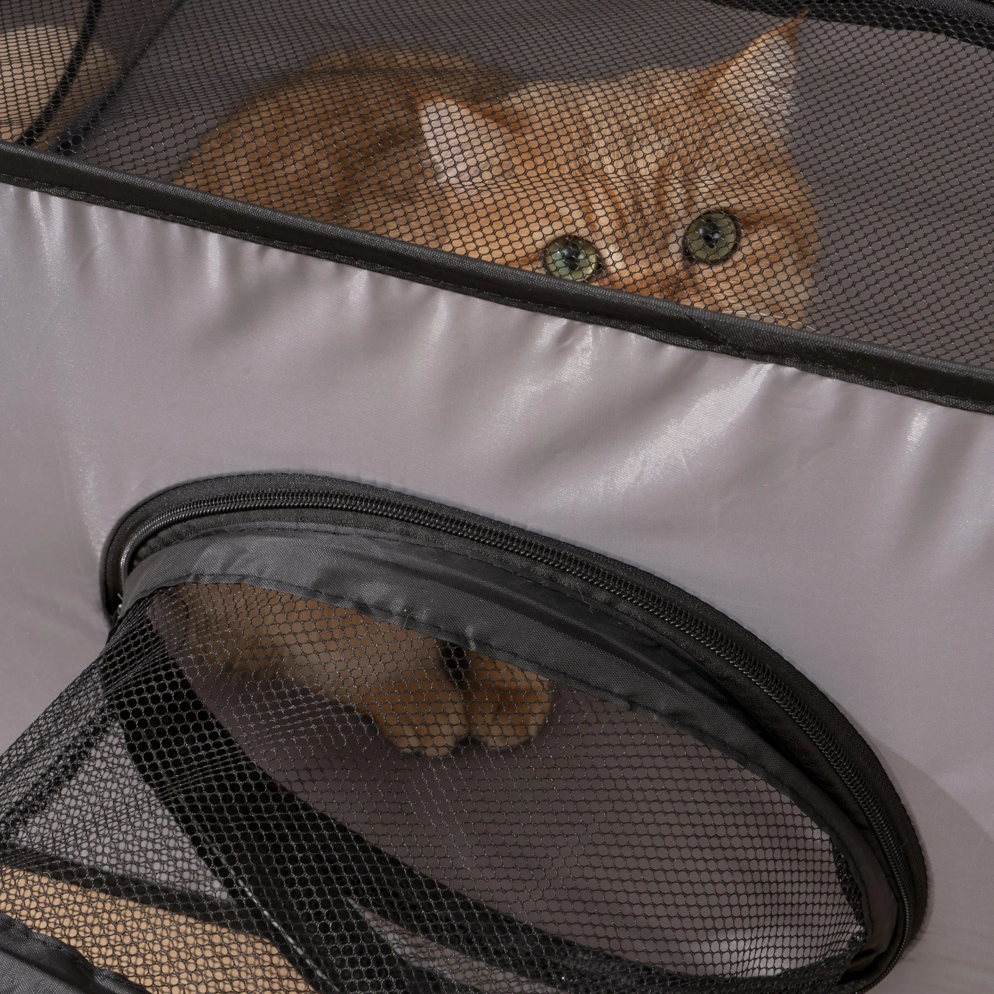 Indoor pet play tunnel with nest featuring a curious cat peeking through the mesh openings