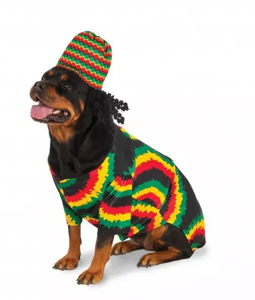 Rottweiler in a colorful Jamaican dog costume outfit featuring a knitted hat and vibrant patterns
