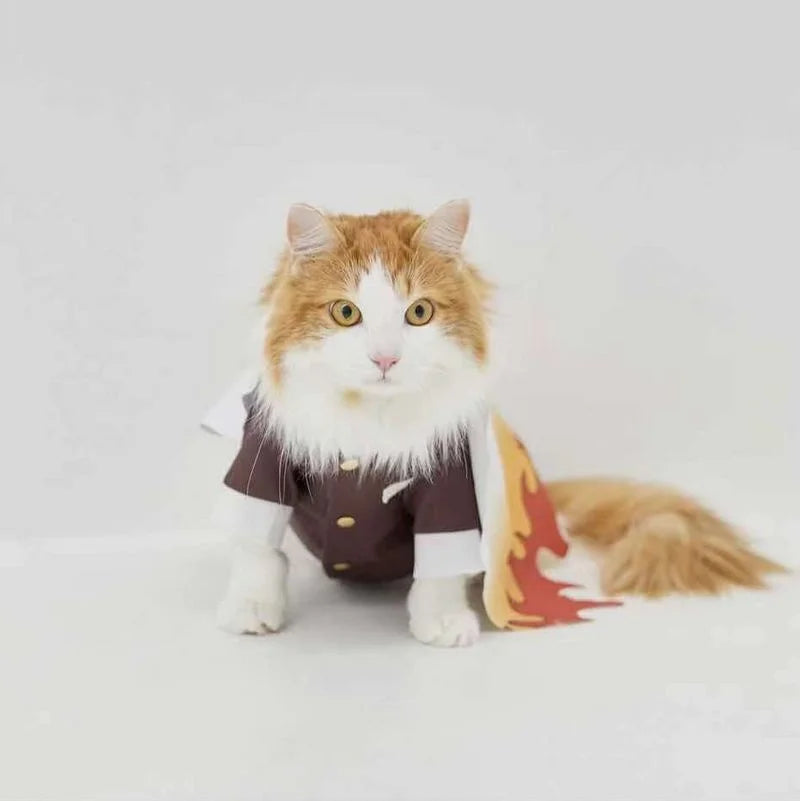 Adorable cat in a Japanese dog kimono costume with colorful flame details and stylish design
