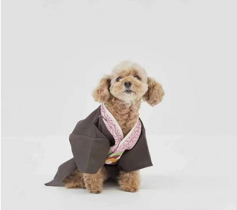 Cute dog wearing a Japanese dog kimono costume with colorful patterns and stylish design