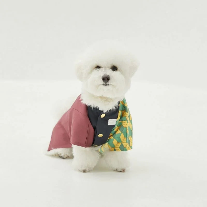 Cute fluffy dog wearing a stylish Japanese dog kimono costume with colorful patterns from Zoomies & Co