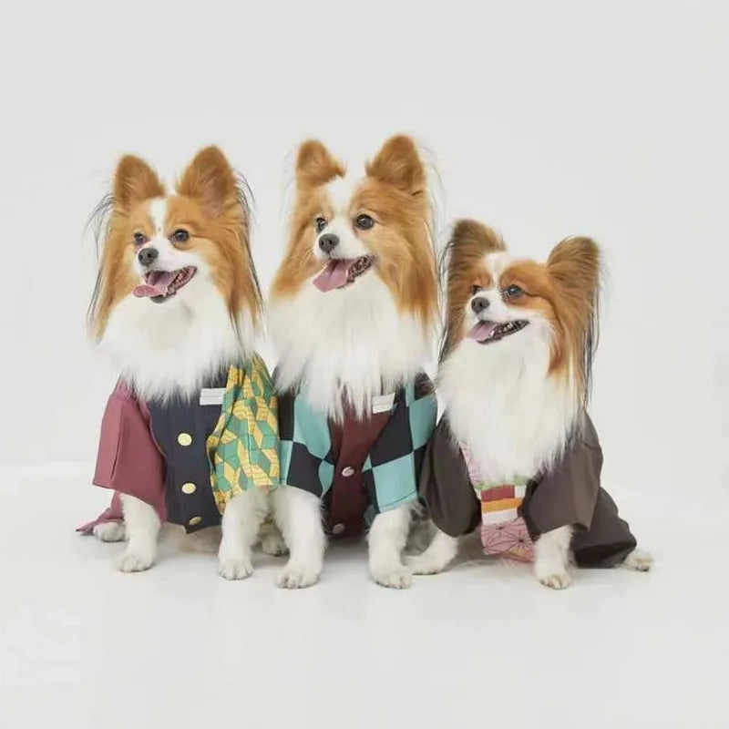Three dogs wearing colorful Japanese dog kimono costumes, showcasing unique patterns and styles