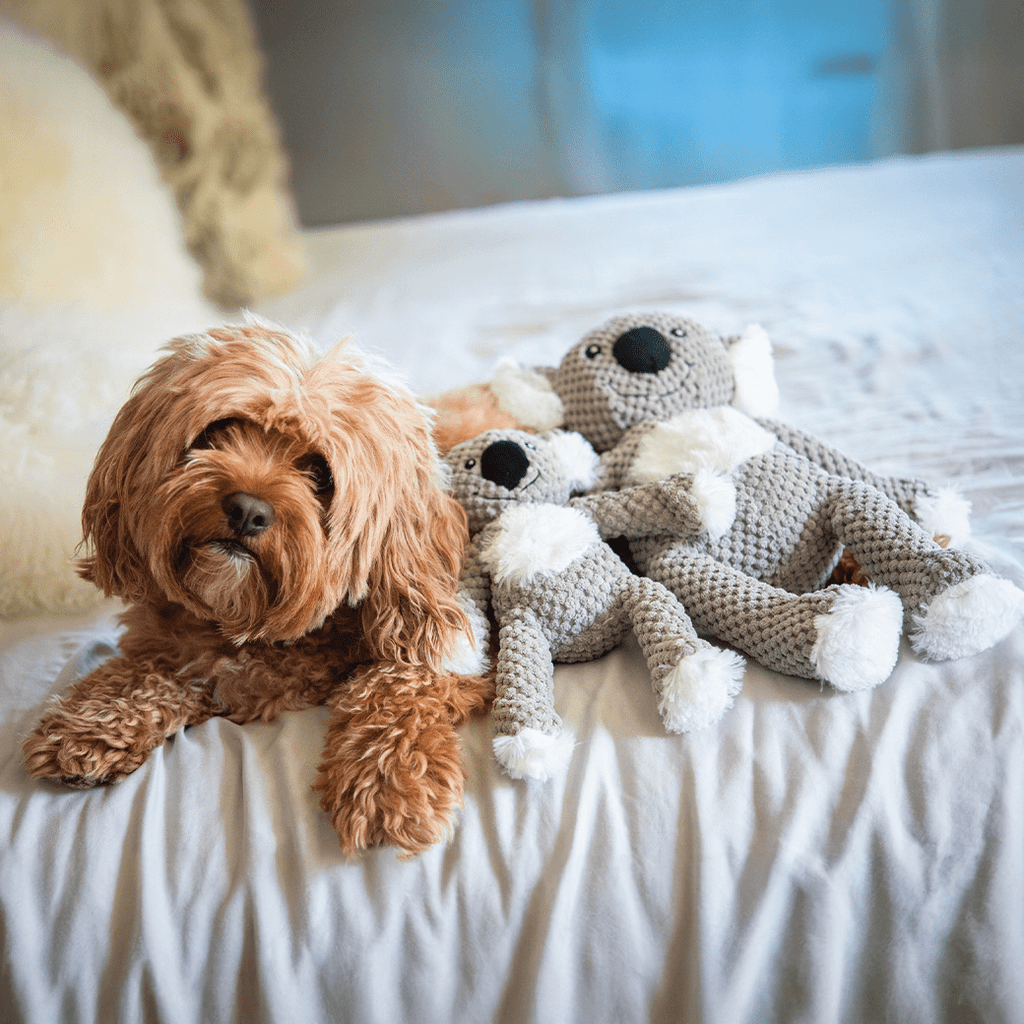 Fabdog Dog Floppy Koala Large